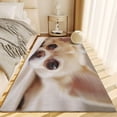 thumbnail image 4 of Area Rugs for Living Room 4x6 ft Machine Washable Large Soft Stain Resistant Rug Animal Chihuahua, Indoor Home Office Bedroom Dining Room Print Foldable Carpet, 4 of 6