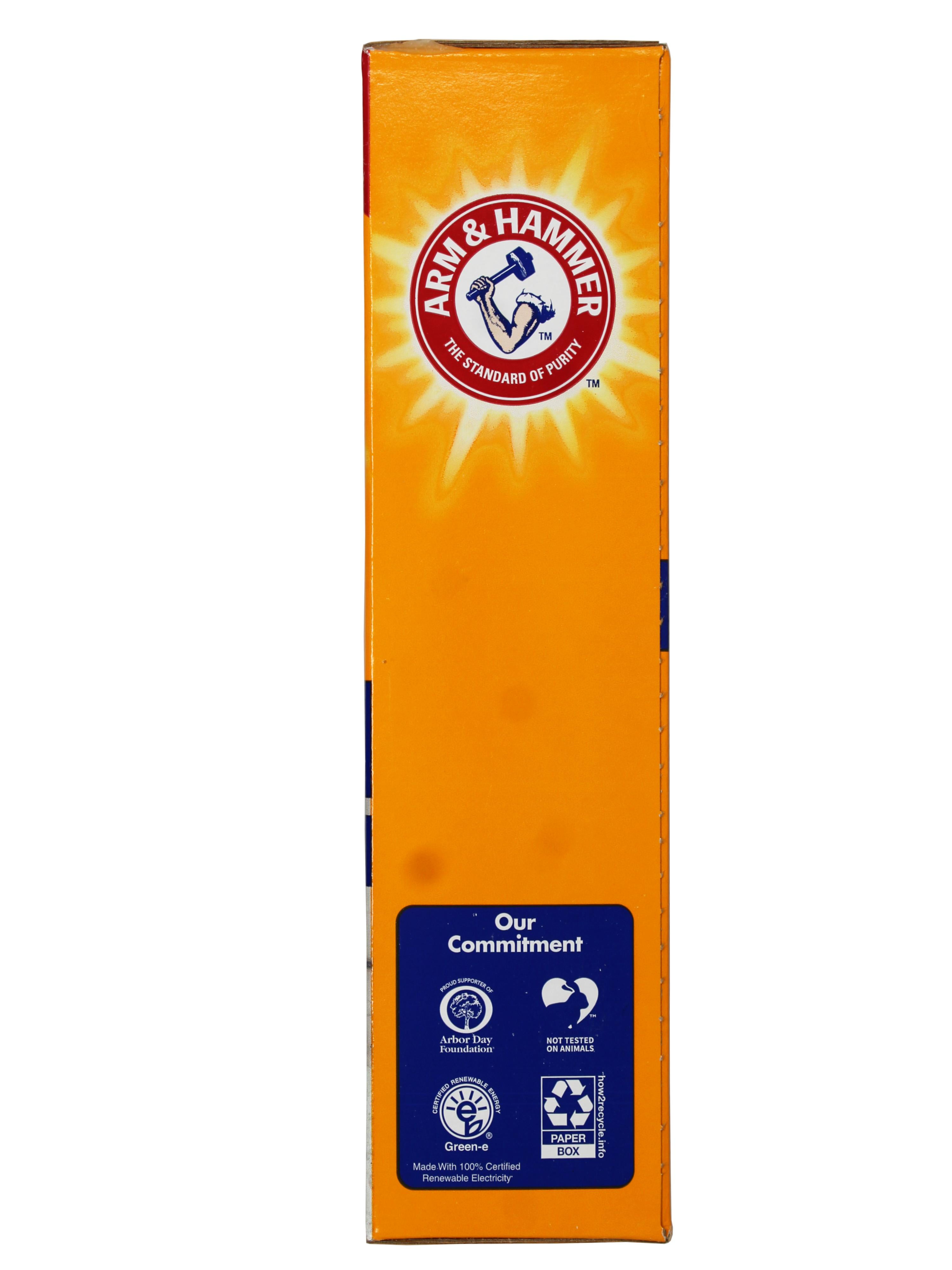 Arm & Hammer Carpet & Room Pet Fresh Odor Eliminator, 30 Ounce  (Pack of 10)