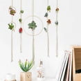 thumbnail image 5 of Hanging Air Plant Holders with 5 metal Hooks Wall Decorations for Home Garden Outdoor Decor,5 Counts, 5 of 6