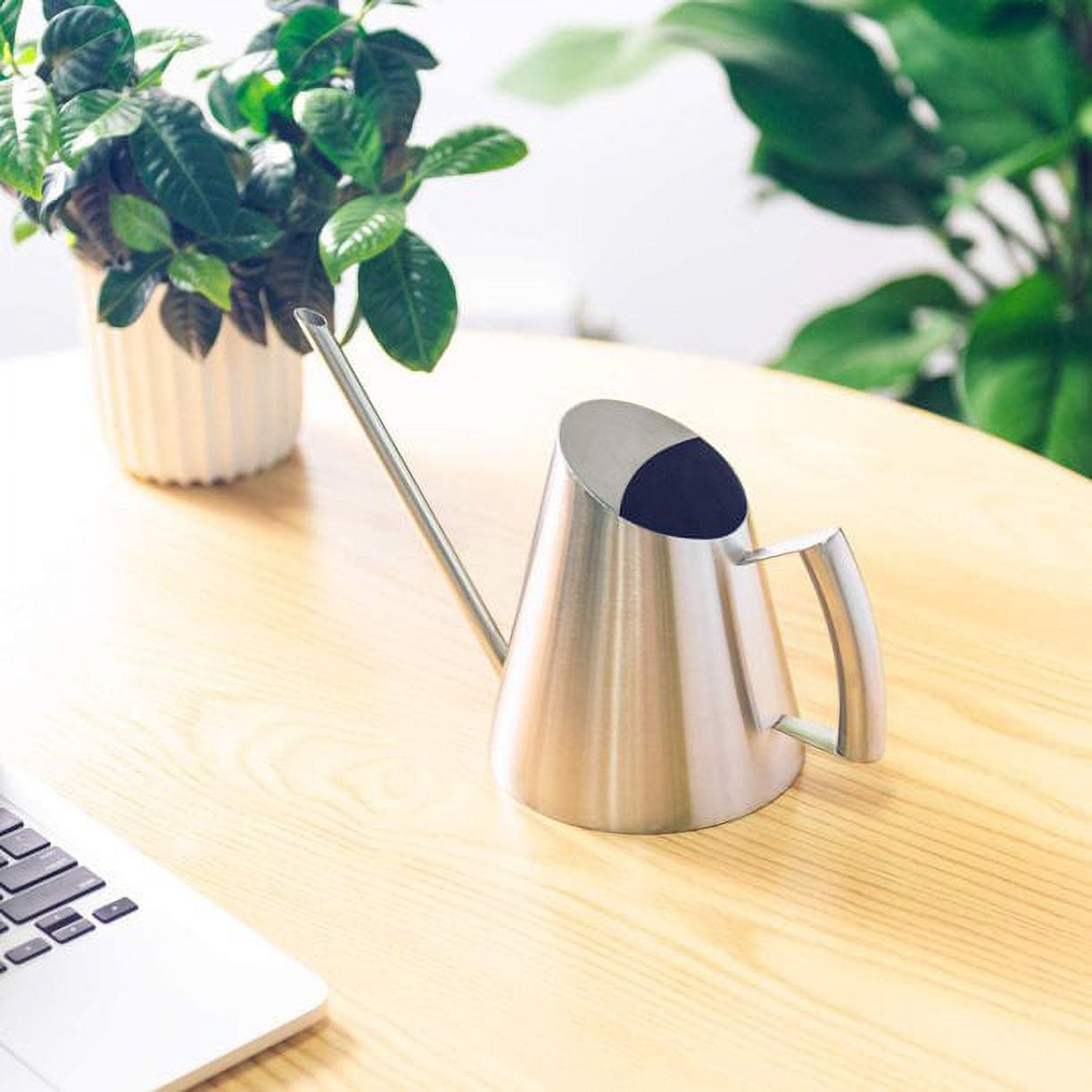 FZFLZDH Watering Can SUS304 Stainless Steel Indoor House Plants Long Spout,Small Stainless Steel Plant Watering Can， 30oz / 900ml