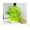 Green, variant on Back to School savings kladzum Clear Backpack Large Clear Bookbag Plastic Candy Color Bag Fluorescent Bag Jelly Schoolbag Transparent Backpack for College Work Travel Backpack