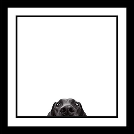 Art Black And White Photograph buyartforless FRAMED Lets Play 12x12 Art Print Poster Black and White Photograph Black Labrador ()