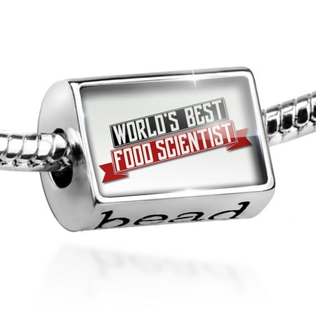 Bead Worlds Best Food Scientist Charm Fits All European (Best Food For Ferrets Chart)