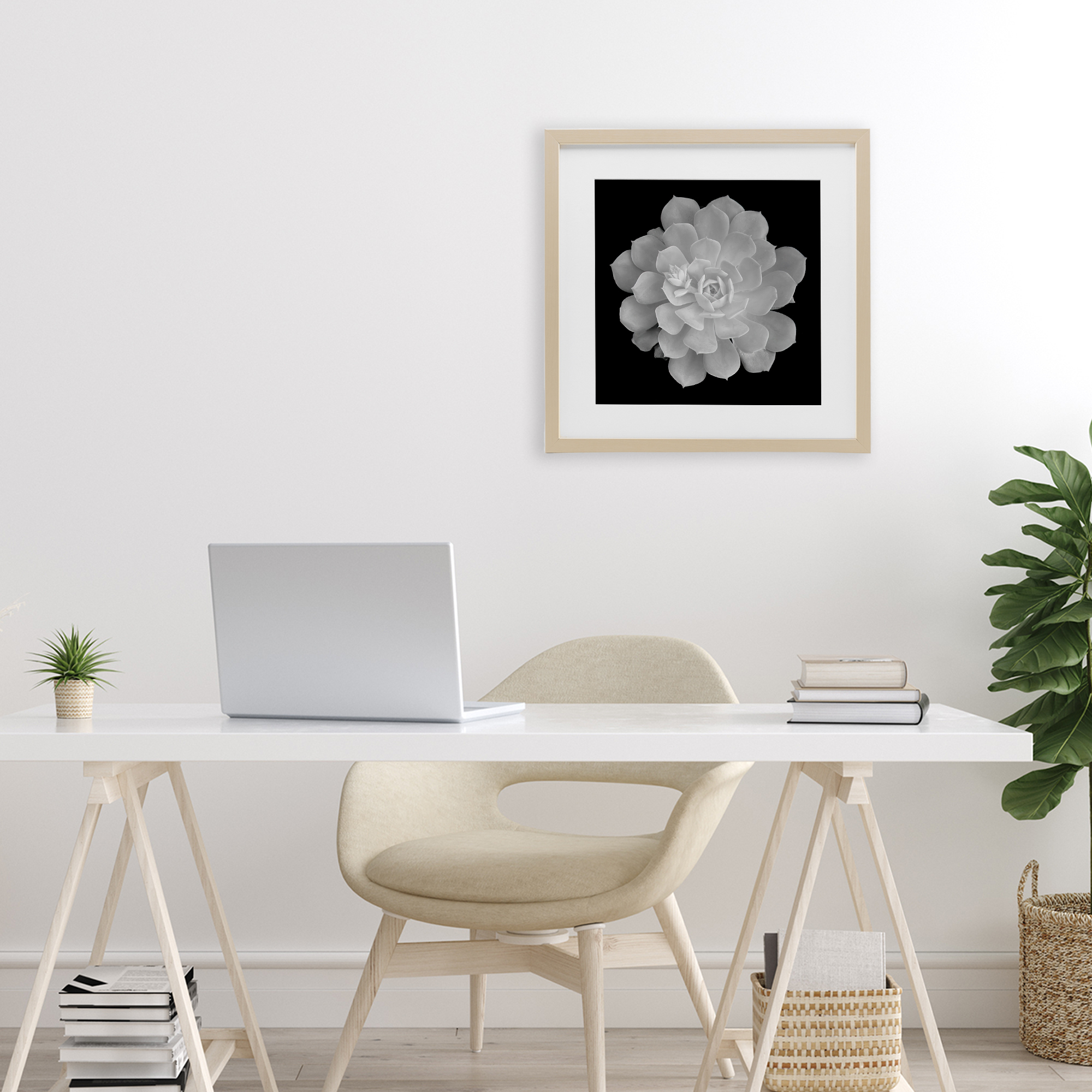 Pure White Succulent Contrast Birch Framed Print Under Glass, design by Phillip Flowers