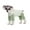 Green, variant on BT Bear Small Dog Jumpsuit, Small Dog Recovery Suit, Stripe Anti-Shedding Dog Pajamas Pjs, After Surgery Dog Onesie Shirt, Dog Sweater Coat for Puppy Small Dog Purple XL