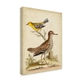 thumbnail image 2 of Trademark Fine Art 'Antique Bird Menagerie I' Canvas Art by George Edwards, 2 of 4
