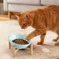 thumbnail image 4 of Elevated Ceramic Cat Bowls Vomit Feeder With Stand Non Slip Container For & Puppies, 4 of 4
