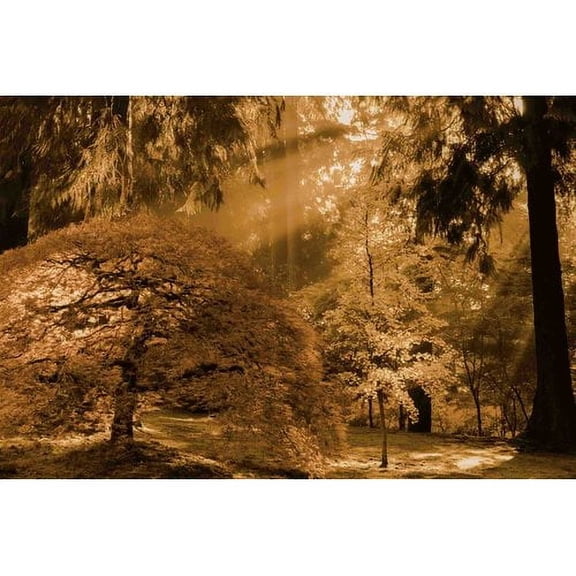 Marmont Hill Bathed in Morning Light by Don Schwartz Canvas Wall Art