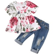 Girls Clothes Outfits, Cute Baby Girl Floral Short Sleeve Pant Set Flower Ruffle Top
