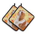 thumbnail image 1 of Carolines Treasures BB9924PTHD Cavalier Spaniel Fall Pair of Pot Holders, 1 of 3