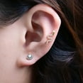 thumbnail image 3 of Limerencia Titanium Earrings with Snake Flat Back Internal Threading, Unisex (1 Piece), 3 of 7