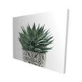 thumbnail image 1 of Plante Succulente Zèbre - Toile 16"x20 Pouces - Impression sur Demande, 1 of 1