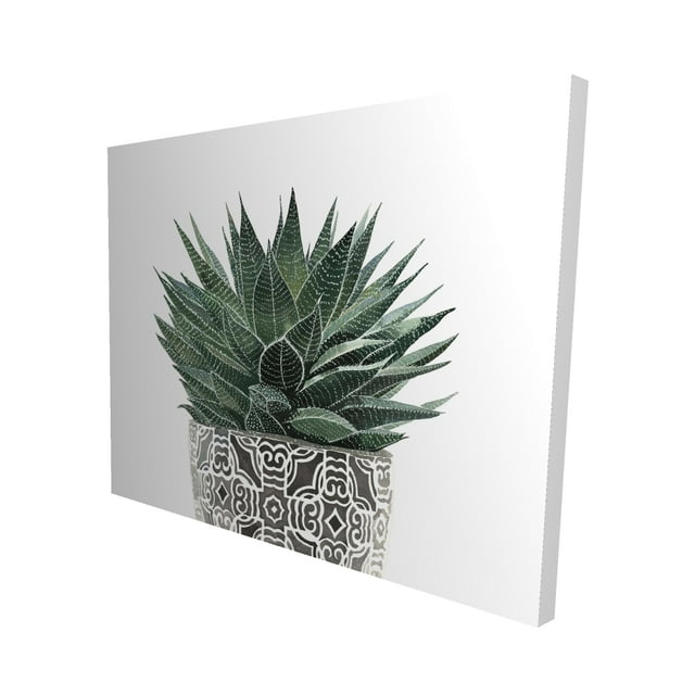 Plante Zébrée Succulente - Toile 16"x20 Pouces - Impression à la Demande