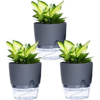 6 inch Self Watering Planter Pot, TRIANU 3 Pack Plastic Flower Pot with Clear Reservoir for Indoor Plants, Herbs, Succulents, Flowers, Gray