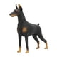 thumbnail image 3 of Modelo de animal de simulación BuyWeekMX Doberman negro Juguete modelo Estatua de perro, 3 of 9