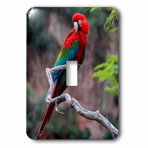 3dRose, Brazil, Sinkhole of the Macaws. Portrait of a red and green macaw., single toggle switch