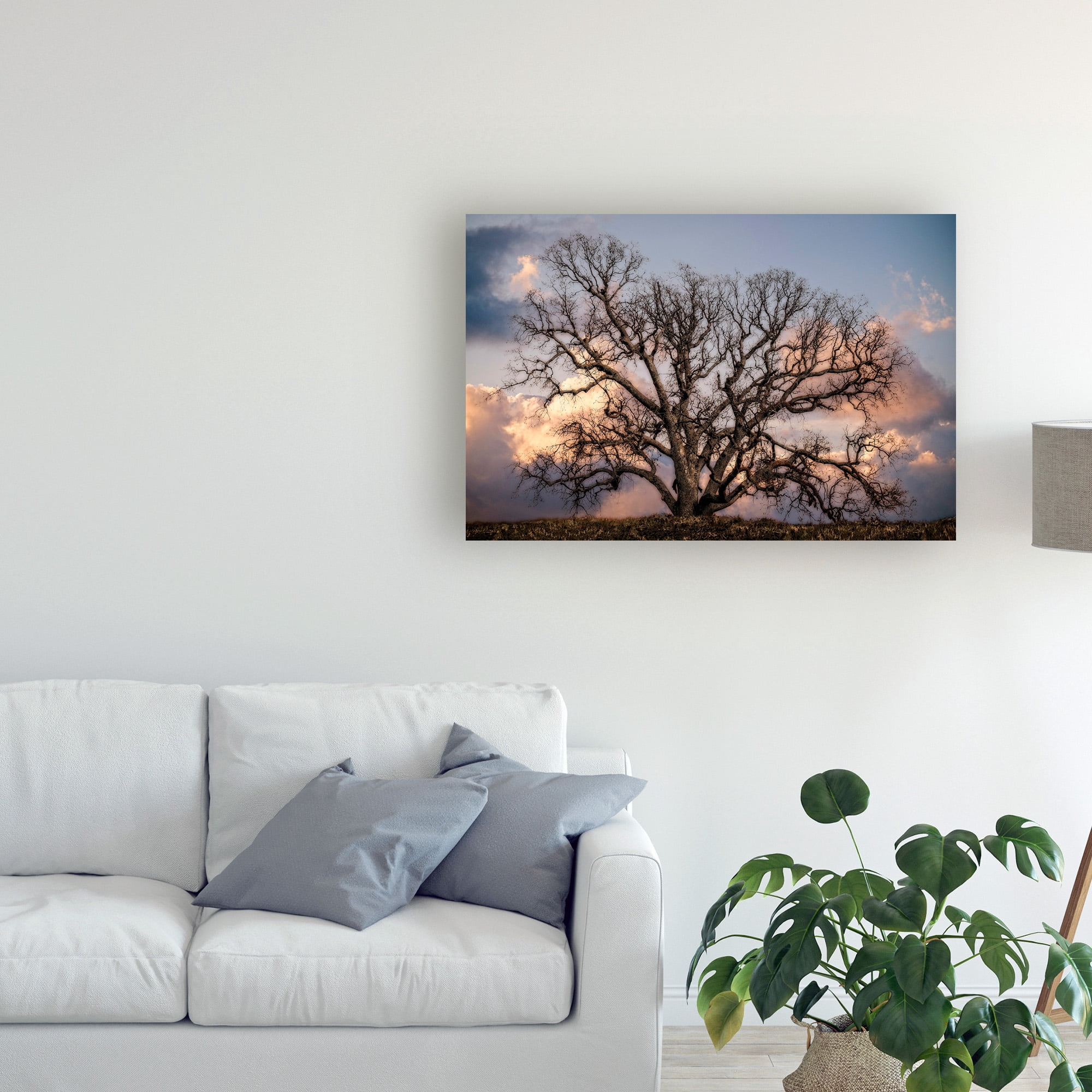 Trademark Fine Art 'Grand Oak Tree II' Canvas Art by Rachel Perry