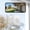 5G-1Pack, variant on 2.5K Window Camera ,No-Drill Install,2.4GHz & 5GHz WiFi Indoor Cameras for ,AI Human Detection, 6s Pre-Roll, ,4MP Color Night Vision,SD/Cloud