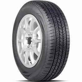 プー(2点) FORTUNE PERFECTUS FSR602 235/65R16 103H HIGH PERFORMANCE SUV