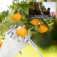 thumbnail image 4 of Austok Fruit Picker Tool Adjustable Fruit Picking Harvester with 4.9Ft Telescopic Pole Ergonomic Lightweight Fruit Catcher Fruit Picking Tool for Cherry Berry Orange Lemon Pear, 4 of 9