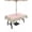 Cherry Pink Gray Green White, variant on Outdoor Tablecloths with Umbrella Hole & Zipper, Pink Leaves Rectangle Tablecloth 60x120 Inch, Green Summer Botanical Pastoral Waterproof Table Cloth, Patio/Pool/Picnic Table Covers