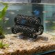 thumbnail image 3 of Túnel 3 en 1 para peces Betta, decoración para acuario, escondite para peces pequeños, hamaca para Betta con ventosas, tubo de descanso y juego para Betta, guppies, tetras neón, 3 of 8