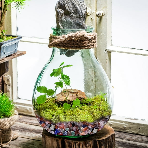 Billes Décoratives Pour Aquarium Vase Lot De 10 Billes En Verre œil De