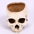 thumbnail image 2 of Halloween Living Room Table Decoration Skull Ashtray 1 Pieces, 2 of 5