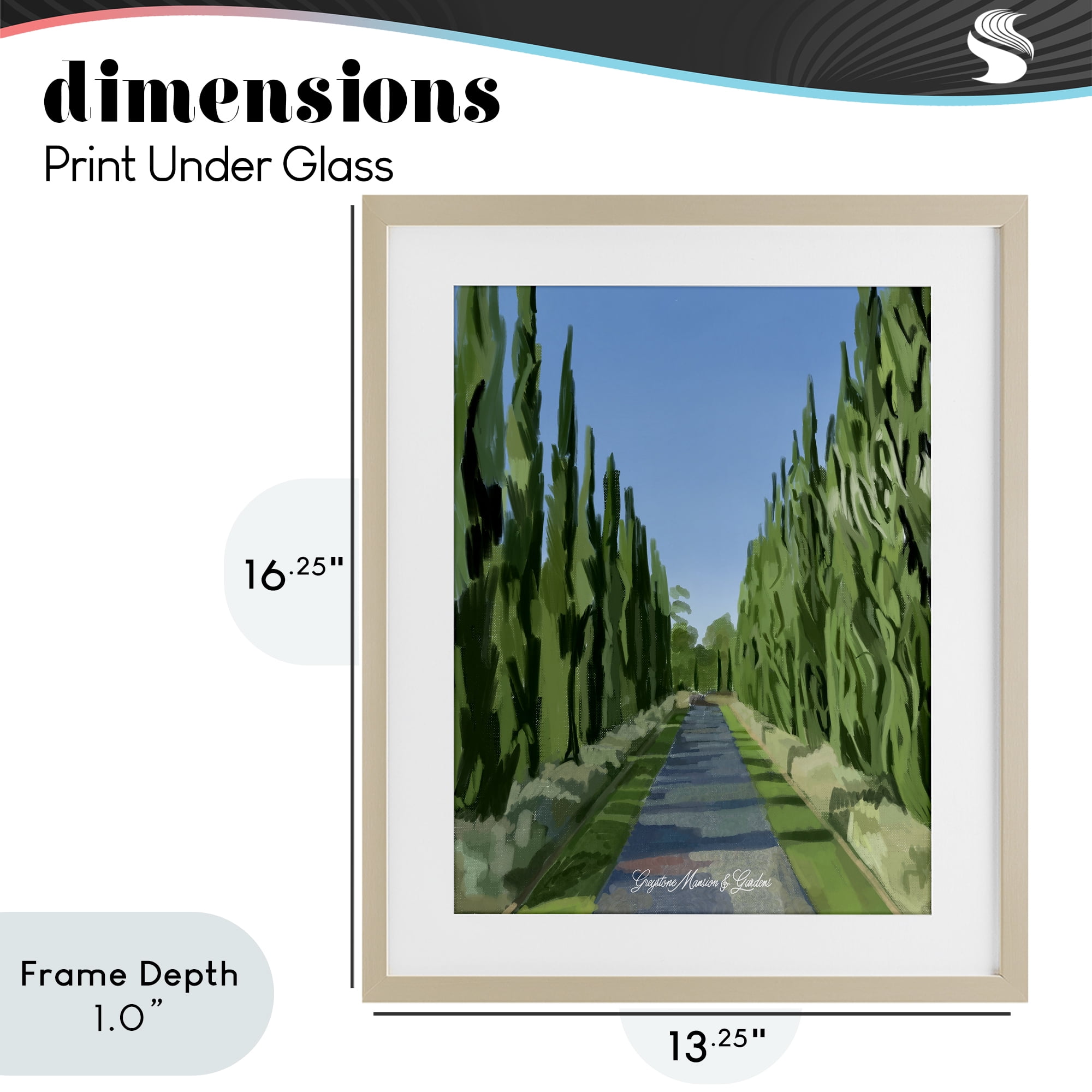Stupell Industries Greystone Gardens Path Birch Framed Print Under Glass, design by Amelia Noyes
