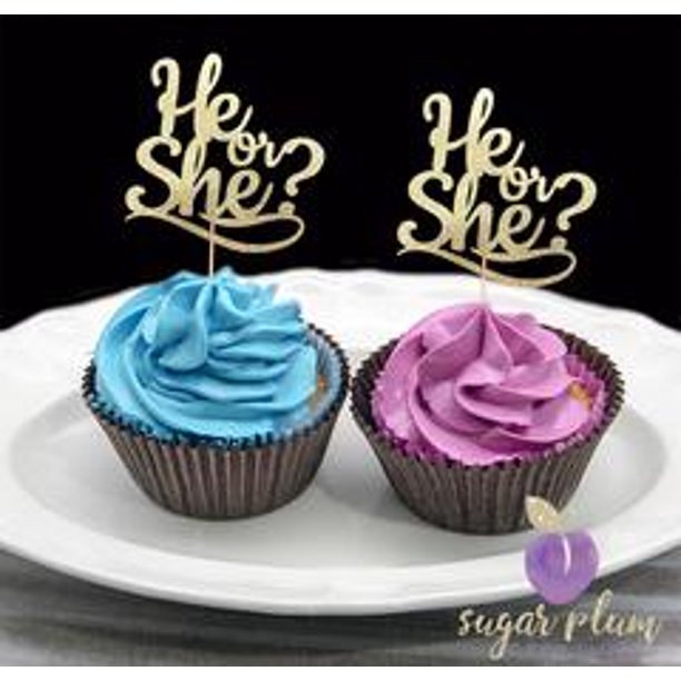 He or She Cupcake Toppers Gender Reveal Set of 12