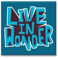 thumbnail image 1 of Cuadro Canva Listo Para Colgar Pixtreats Tipo Galería Frase Live In Wonder 100X100 cm, 1 of 4
