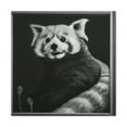 thumbnail image 1 of Red Panda Rococo Dream - Canvas, 1 of 10