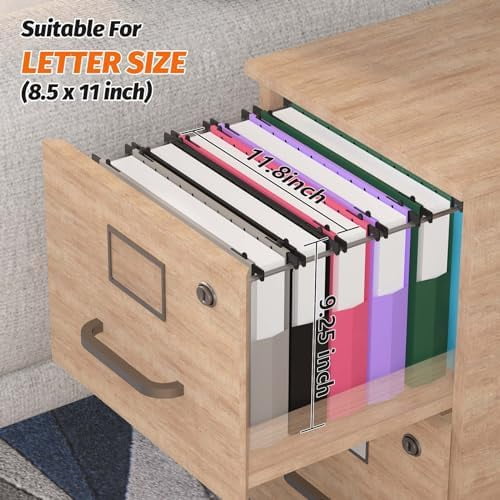 Extra Capacity Plastic Hanging File Folders,12 Pack Reinforced Expanding Hang Folder Letter Size,Accordian Pocket,Heavy Duty 2 Inch Expansion,Hanging Folder Organizer for Office Home,Assorted Colors