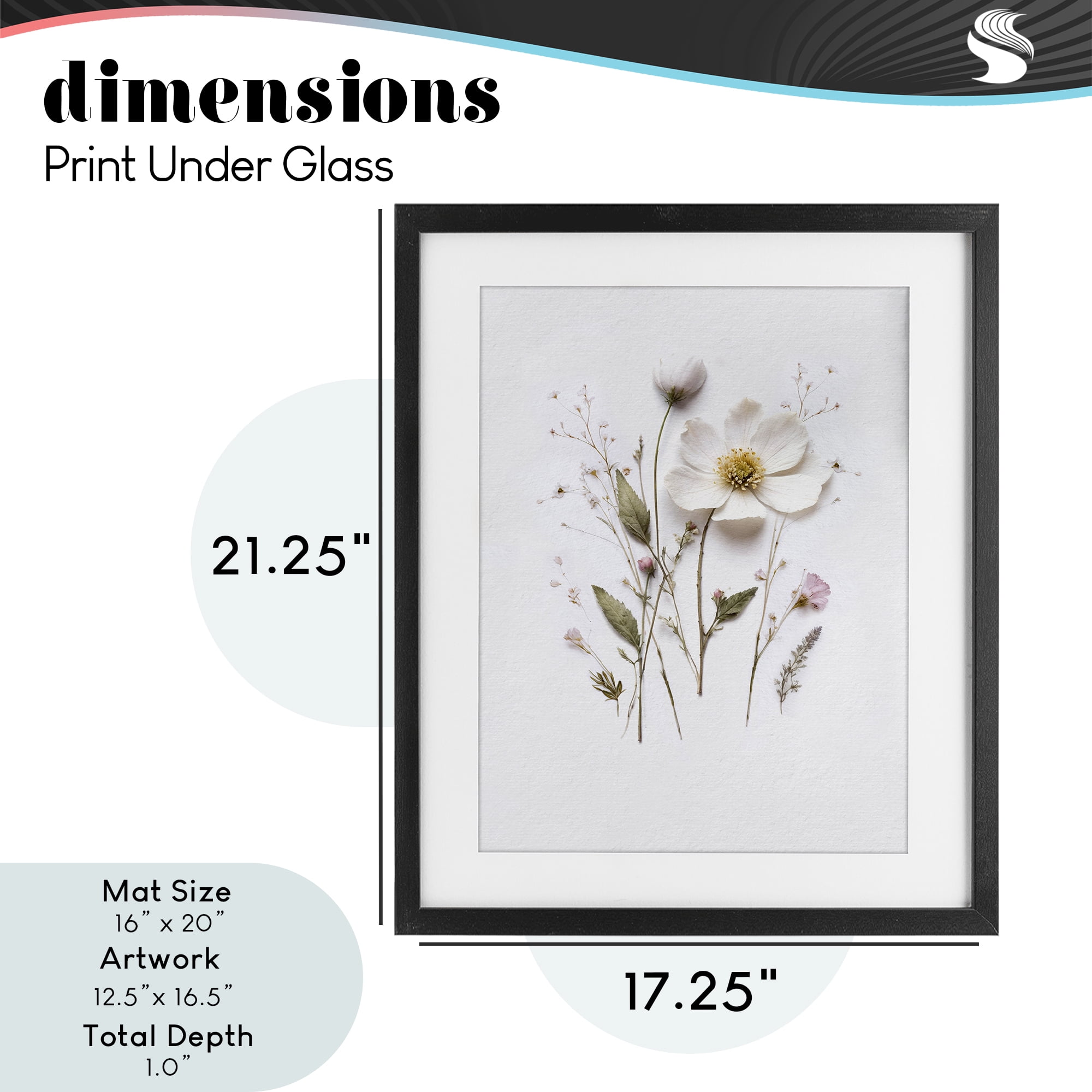 Delicate Pressed Flower Sprigs Black Framed Print Under Glass, design by Lettered and Lined