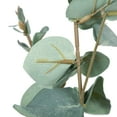 thumbnail image 5 of Vickerman 27" Artificial Green Eucalyptus Spray. Includes 3 sprays per pack., 5 of 8