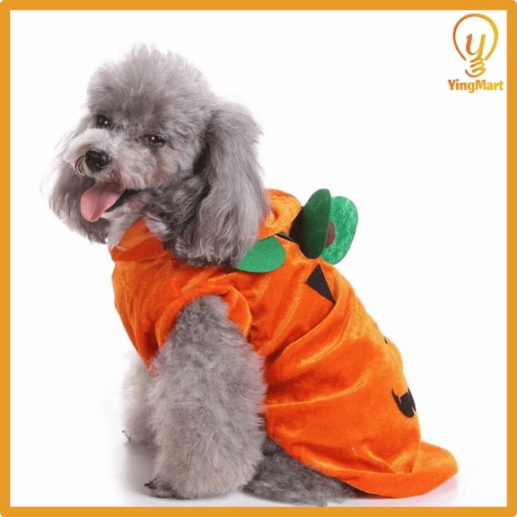 Pumpkin Hooded Outfit Dogs Cats Small Medium Large Funny Fleece Warm Halloween YingMart Pet Costume (HalloweenPumpkin, S)