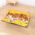 thumbnail image 4 of Kraoden Double Sided Pet Mat for Dogs and Cats, Self Heating, Noiseless Padded Blanket for Kennels and Cages, Machine Washable, Portable Comfort for Fall and Winter, 4 of 6