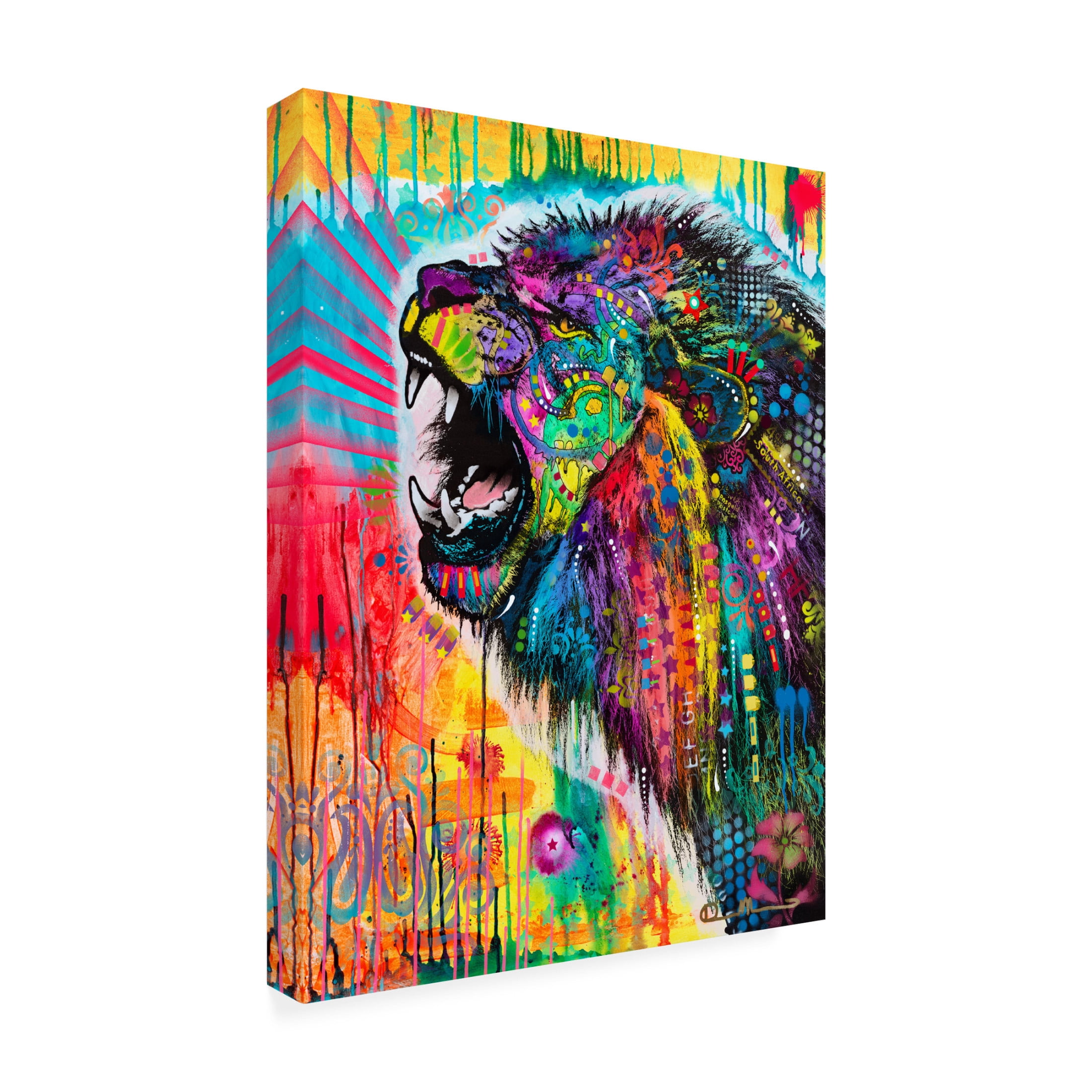 Canvas Wall Art - Dean Russo 'South African Lion' Wall Art for Living Room, Bedroom, or Office Décor by Trademark Fine Art - 35 x 47 Inches