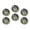 C0191, variant on Glass Refrigerator Magnet 6Pcs Magnetic Fridge Sticker,Decor for Kitchen,Whiteboard,Cabinet,Charming Raccoon In Floral Fantasy