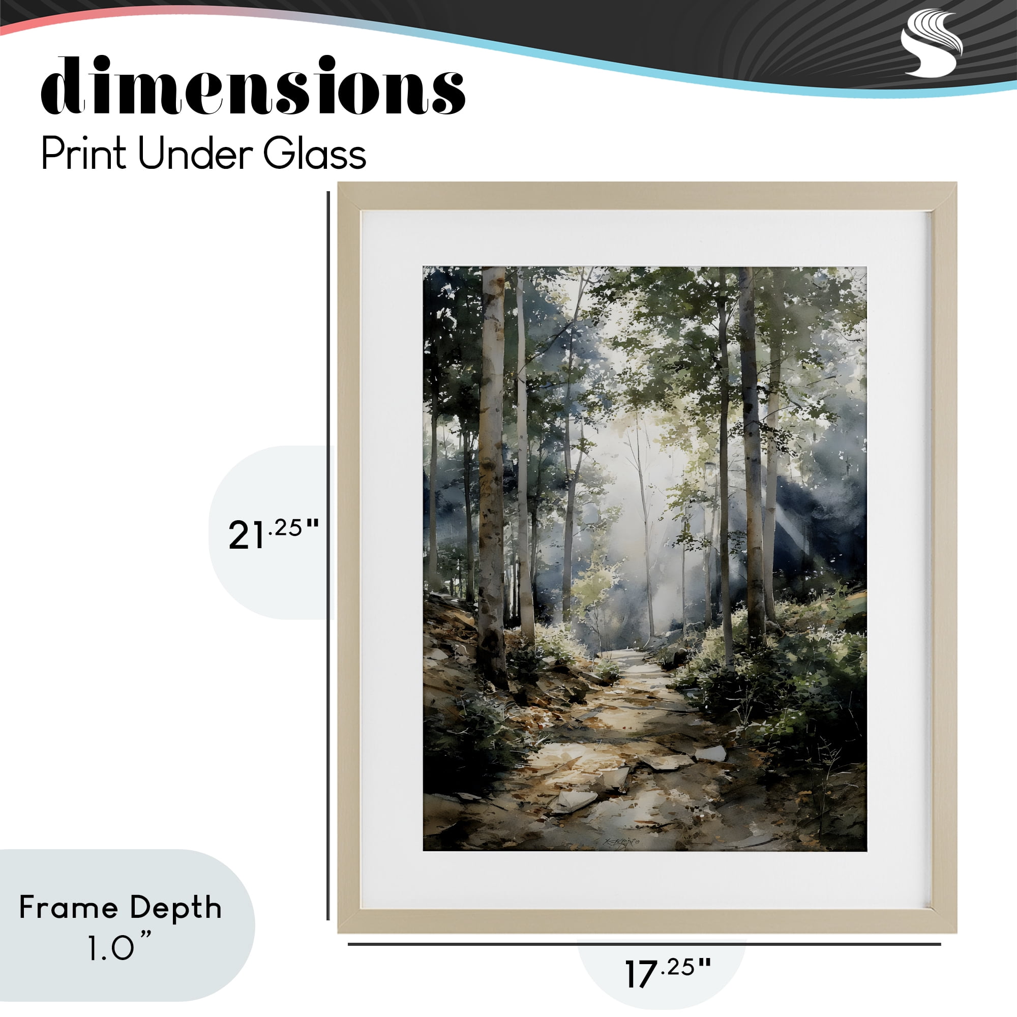 Stupell Industries Through The Woods Pathway Birch Framed Print Under Glass, design by Franklyn Gregory