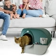 Omega Paw Premium Roll 'N Clean Self Cleaning Litter Box, Large, Green