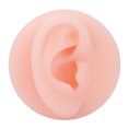 thumbnail image 2 of Modelo de oreja, modelo de oreja humana de silicona suave profesional Modelo de oreja de silicona Tecnología avanzada, 2 of 8