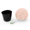 thumbnail image 5 of Round 5-1/2 In. X 6 In. Coral Ceramic Wall Planter, 5 of 8
