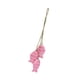 thumbnail image 3 of Decoración de pared de peces de madera con temática náutica y cuerda colgante. Rosa, 3 of 9