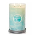 thumbnail image 2 of Yankee Candle “Inspire” 2022 Fragrance of the Year Large 2-Wick Tumbler Candle, 2 of 4