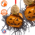 thumbnail image 2 of Bonka Bird Toys 2722 Halloween Pumpkin Pie Sola Atta Chew Shred Parrot Cage Toy, 2 of 6