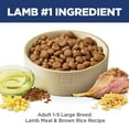 thumbnail image 6 of Hill's Science Diet Large Breed Lamb & Brown Rice Dry Dog Food, 33lb Bag, 6 of 8