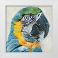 thumbnail image 1 of Seay, Anne 12x12 White Modern Wood Framed Museum Art Print Titled - Parrot II, 1 of 4