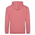 thumbnail image 2 of Awdis  Adult College Hoodie, 2 of 2