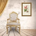 thumbnail image 3 of Georg Dionysius Ehret 18x24 Gold Ornate Framed and Double Matted Museum Art Print Titled - Bromelia (1750-1773), 3 of 4